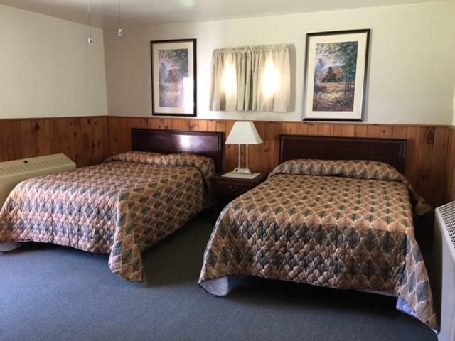 The Forest Lodge And Campground Marienville Bagian luar foto
